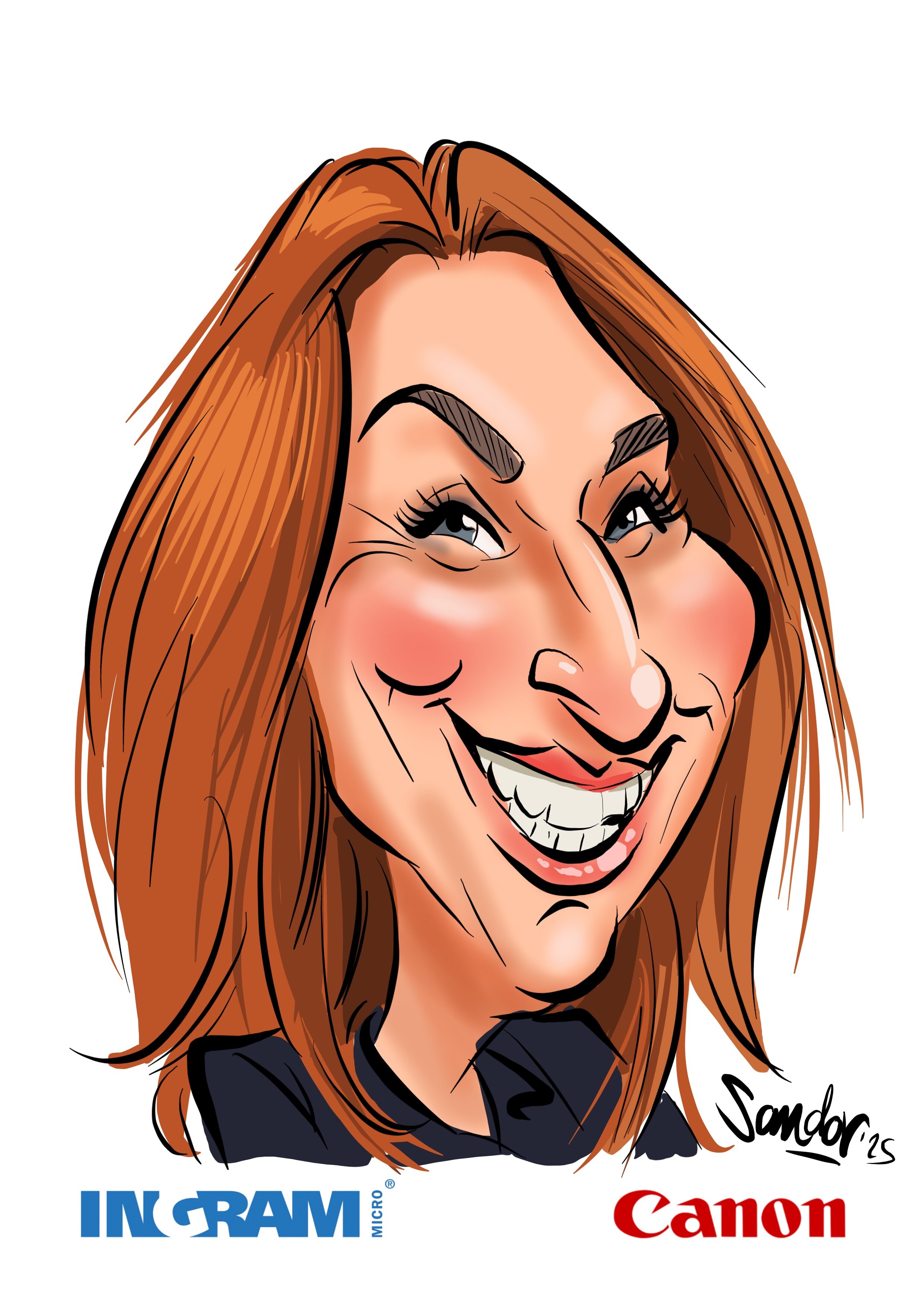 Ingram Micro - door Sandor