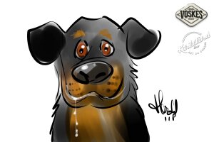 Animal Event Voskes 2 Animal Event Voskes 2