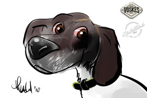 Animal Event Voskes 2 Animal Event Voskes 2