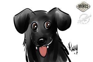 Animal Event Voskes 2 Animal Event Voskes 2