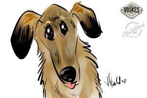 Animal Event Voskes 2 Animal Event Voskes 2