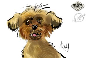 Animal Event Voskes 2 Animal Event Voskes 2