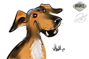 Animal Event Voskes 2 Animal Event Voskes 2