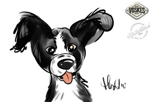 Animal Event Voskes 2 Animal Event Voskes 2