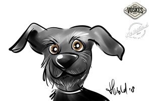 Animal Event Voskes 2 Animal Event Voskes 2