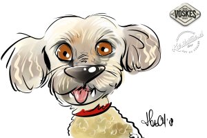 Animal Event Voskes 2 Animal Event Voskes 2