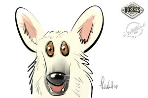 Animal Event Voskes 2 Animal Event Voskes 2