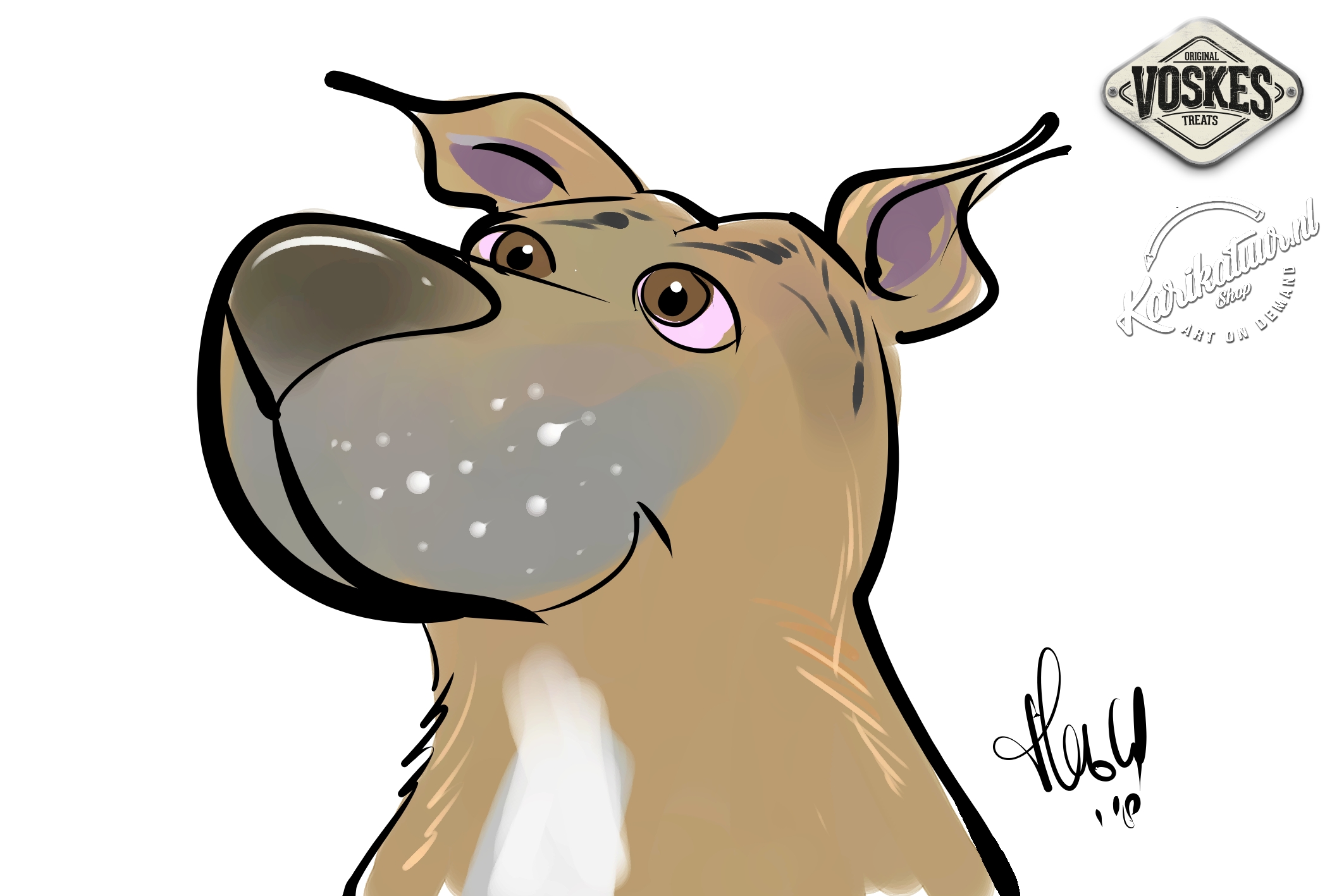 Karikatuur