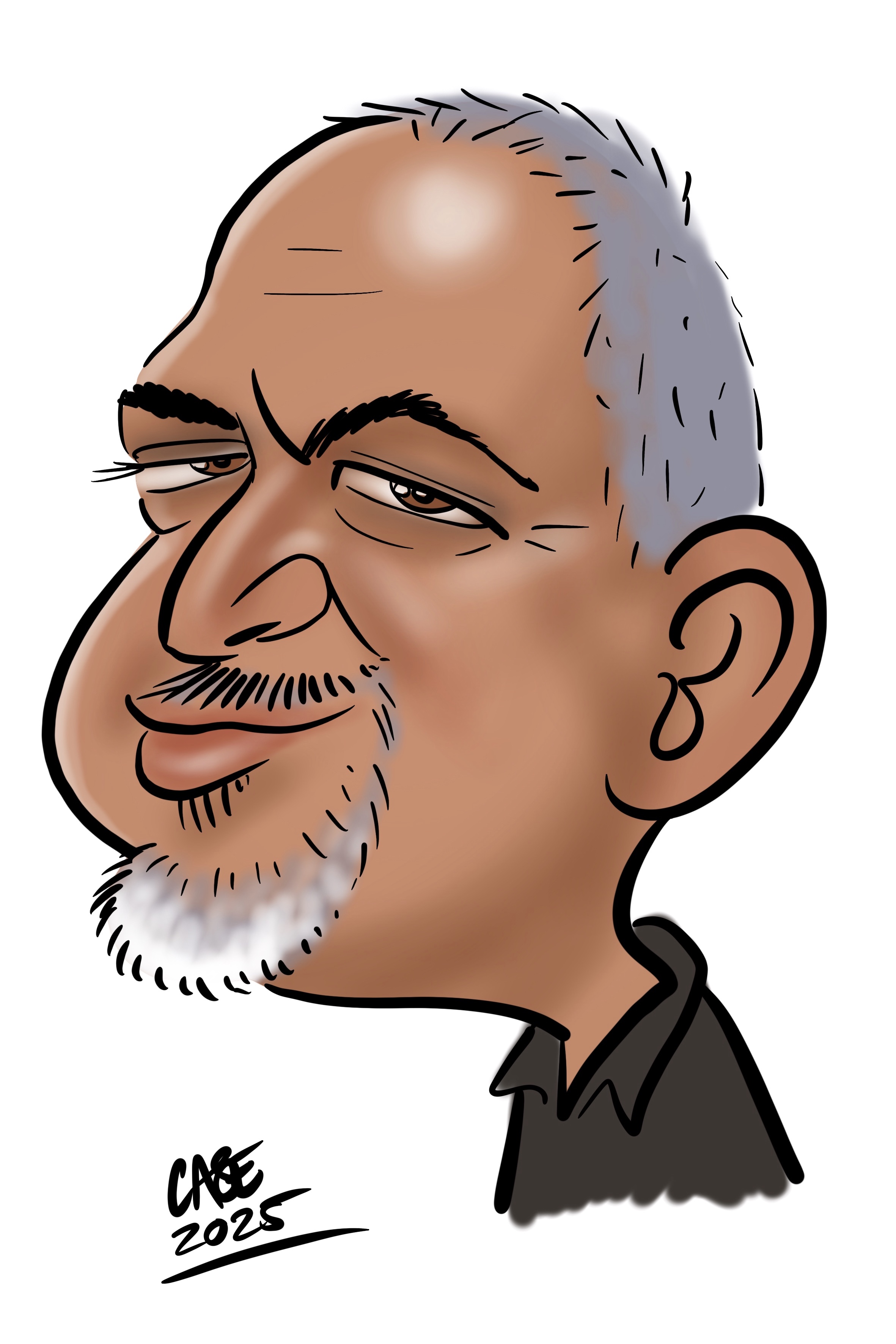 Karikatuur Karikatuur